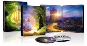 Wicked-For-Good-Steelbook-Artwork1.jpg