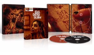 evil-dead-burn-steelbook-artwork.jpg