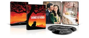 gone-with-the-wind-artwork-1.jpg