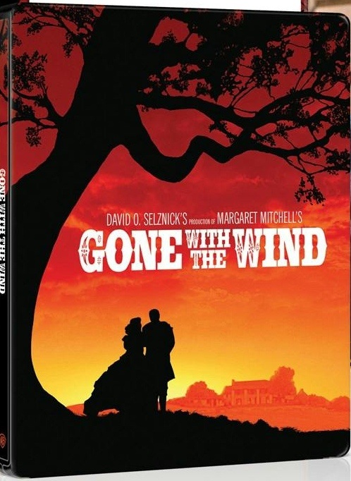 Gone with the Wind front cover